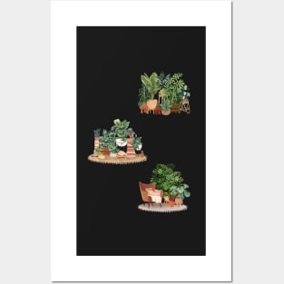 House plants in pots Posters and Art